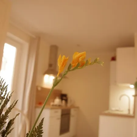 Ostsee Schwedenhaeuser 度假居 *