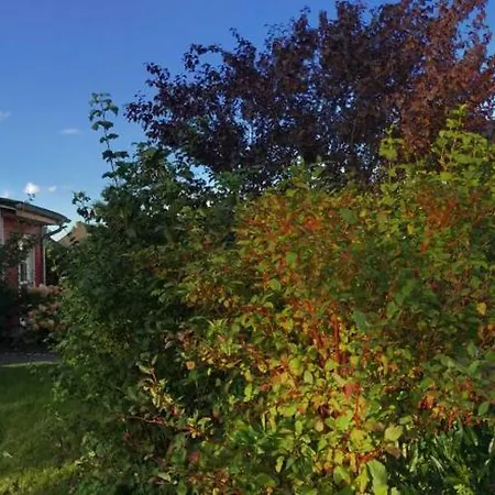 度假居 Ostsee Schwedenhaeuser 布雷格