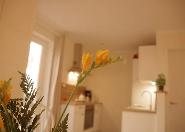 Ostsee Schwedenhaeuser Casa vacanze *