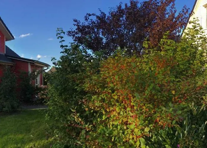 Casa vacanze Ostsee Schwedenhaeuser Breege